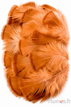 Bronzetruthahn - gebleicht - 5-15 cm - lachsrosa-karamell